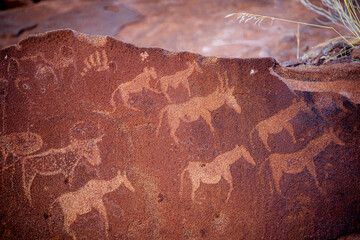 gravures rupestres - Namibie