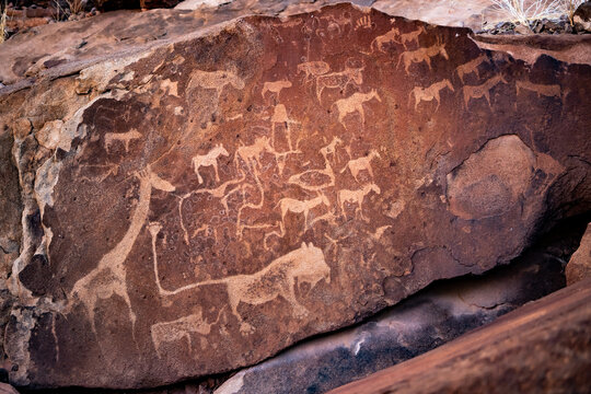 gravures rupestres - Namibie