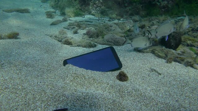 A lost smartphone on a sandy bottom surrounded by a flock of Annular seabream fish, underwater.