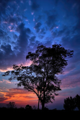 Fototapeta na wymiar Beautiful sky on twilight time