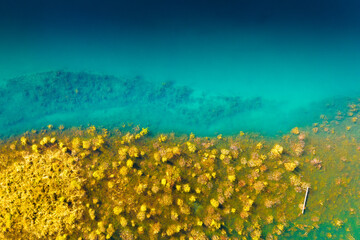 A drone view of the river . An aerial view of an autumn field. Pond among the meadows. Turquoise...