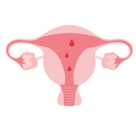 Uterus menstruation vector illustration