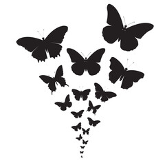 Explosion of vector butterflies.Lots of butterflies.Vector silhouettes of butterflies