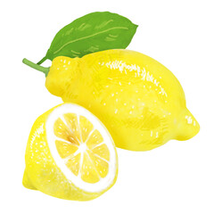 みずみずしいレモンのイラスト