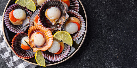 seafood scallop in shell fresh meal snack on the table copy space food background rustic top view 