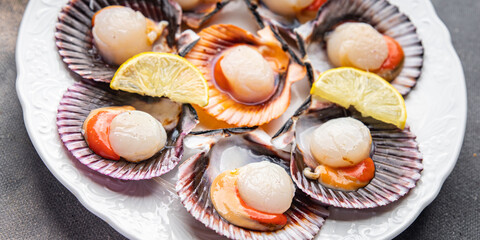 seafood scallop in shell fresh meal snack on the table copy space food background rustic top view 