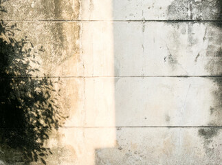 Weathered cement wall background with cracked, lichen, sunlight and shadow of tree