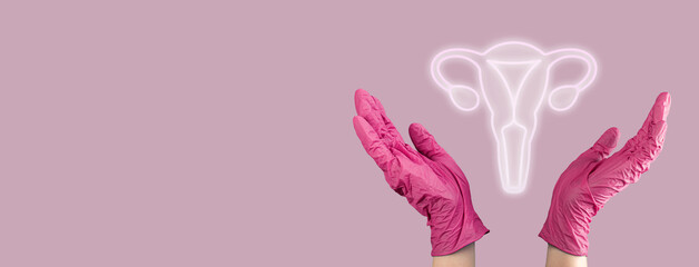 Womb, female genital reproductive system. Banner background