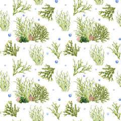 Seamless pattern of green sea plants watercolor illustration isolated on white. Laminaria, sea salad, ascophyllum hand drawn. Design for package, label, paper, textile, wrapping, marine collection