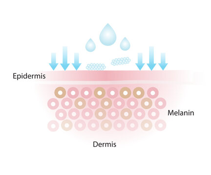 The skincare product doesn't get absorbed, that doesn’t properly penetrate into the skin layer vector on white background.