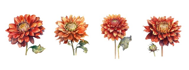 Set of watercolor dahlia flowers.Generative AI technology.