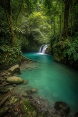 Fototapeta premium waterfall in the forest
