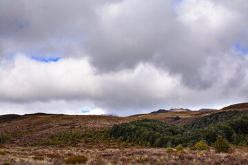 Snow blanketed cone of Mt Ruapehu barely visible in the low clouds. Desolated high land field in Central Plateau of New Zealand. Tongariro National Park, North Island