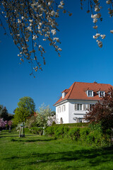 House in the city in the springtime