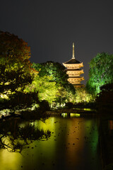 To-ji Temple pagoda illuminated at night, Kyoto, Japan.