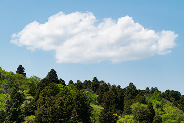 ５月の晴れの日の山の木々と一つの雲の写真