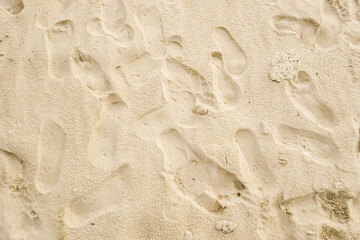 Many Human Footprints during the day. Texture background Footprints of human feet on the beach sand. Daylight.