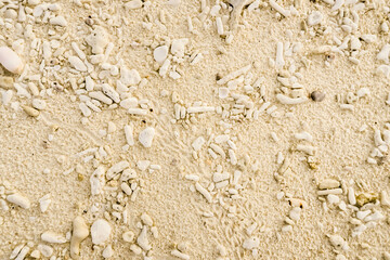 Rocky Beach, white sand and coral fragments during the day. Texture background with daylight top view high angle.