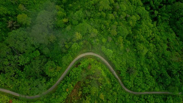 Top view of S-shaped road in dense jungle