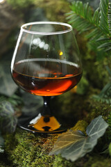 glass of whiskey drink on the green forest background with moss