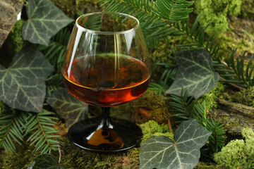 glass of whiskey drink on the green forest background with moss