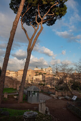 Italy, view of Rome from the Forums on an early spring morning, blue cloudy sky
