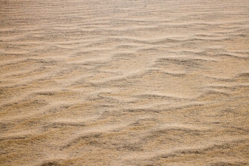 Ripples from the wind on a sand dune
