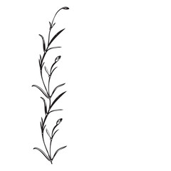 Naklejka premium Botanical hand drawn floral frame Vintage flowers border.Wildflower plant abstract background. Creative trendy greeting card, celebration, wedding invitation, banner Vector illustration Graphic design