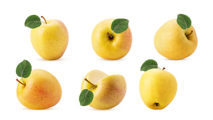 Set golden apple delicious with green leaf