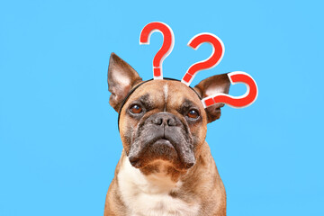 French Bulldog dog with headband with question marks on blue background