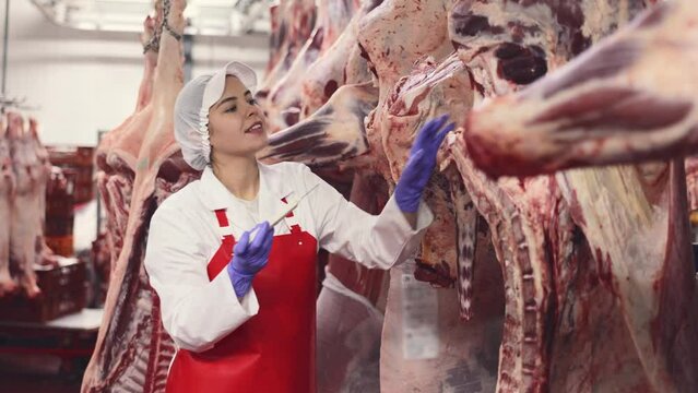 Young female worker of meat processing factory inspecting fresh raw meat hanging in cold storage room, monitoring temperature of beef carcass. High quality 4k footage Generative AI