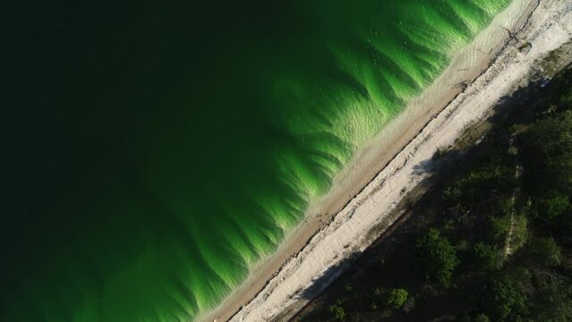 aerial shot of dark green water lake and trees and sand