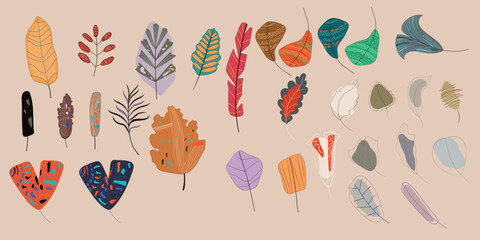 Set of flat abstract leaves. Vector illustration.