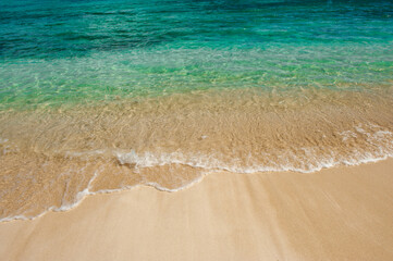 Sea wave on tropical beach
