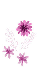 pink flower abstract floral design no background 