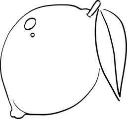 Lemon sketch