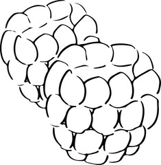 Raspberry sketch