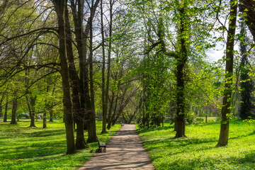 walking path in the green spring park