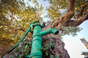 drinking old fountain among trees in the countryside
