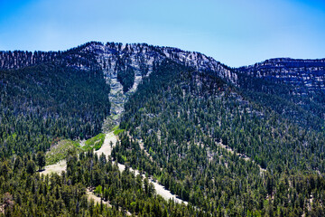 Mt. Charleston, Nevada, USA - June 14, 2018:  Mt. Charleston, Lee Canyon and nearby rock formations...