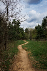 Swirving Trails