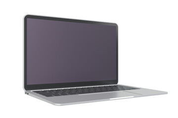 Laptop with blank screen or mock up computer