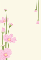 Naklejka premium pink flower background