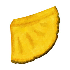Pineapple slice isolated on white background. Watercolor illustration.
