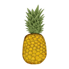 Pineapple isolated on white background. Hand drawn watercolor illustration.