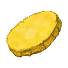 Watercolor illustration of a slice of pineapple isolated on white background.