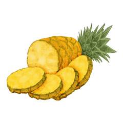 Watercolor illustration of pineapple slices and pineapples on a white background