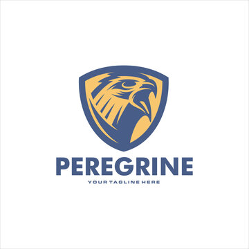 Peregrine Bird Logo Design Vector Image