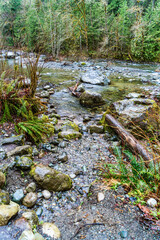 Snoqualmie River Near Twin Falls 2