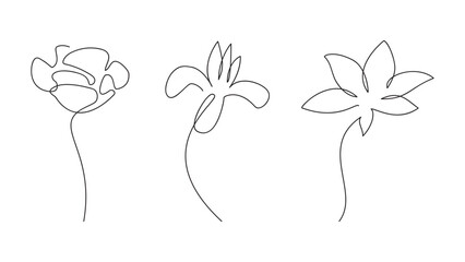 Flower set. Summer concept. Continuous outline style. Vector